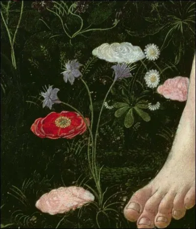 On parle ici d'absence de chaussure, justement, car ces pieds se promènent en quel lieu... ?