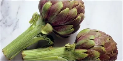 A quelle famille appartient l'artichaut ?