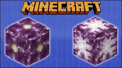 Quand on mange un chorus, quel effet a-t-on ?