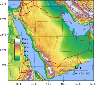 Comment sont appel&eacute;s les r&eacute;sidents de l'Arabie saoudite ?
