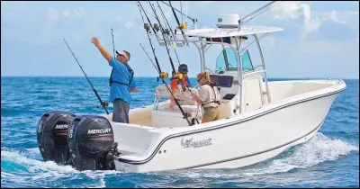 Comment s'appellent les petits bateaux sportifs sans cabine ?