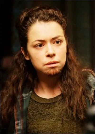 Comment s'appelle le clone transgenre ?