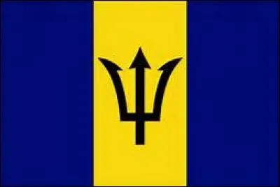 Ce drapeau est celui ...