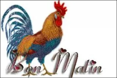 Familièrement, c'est la mère : ma...