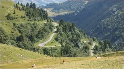 Comment s'appelle le sommet des Alpes célèbres (en forme de pyramide) ?