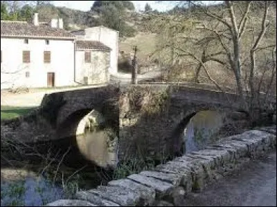 Nous partons en Occitanie, à Mas-des-Cours. Petit village de 25 habitants, dans l'aire urbaine de Carcassonne, il se situe dans le département ...