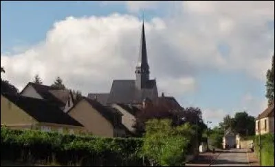 Village normand de l'arrondissement de Mortagne-au-Perche, Saint-Pierre-la-Bruyère se situe dans le département ...