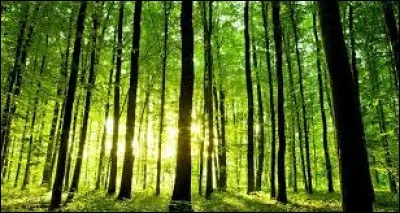 Elle s'approche de lui, lui ______ la main, et l'emmène dans la forêt la plus proche.