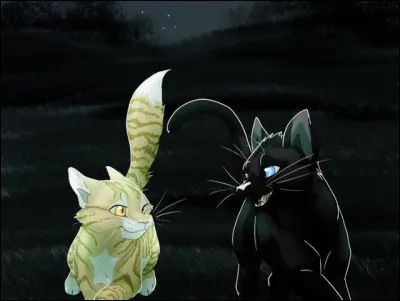 Je suis une guérisseuse très célèbre de LGDC et j'ai commis une grave erreur pour ma destinée.