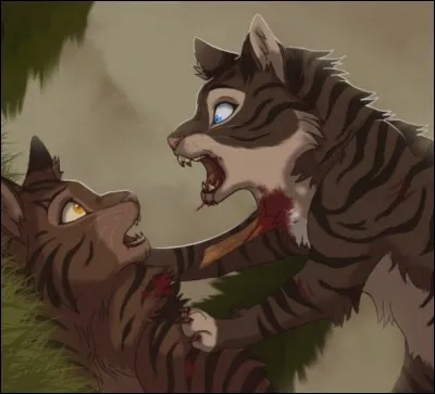 Je suis un chat, le plus connu des traîtres, juste avant Ombre d'Érable.