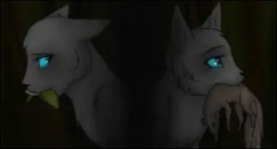 Une chatte célèbre, grise, légèrement handicapée, parlant des herbes médicinales (trop facile)