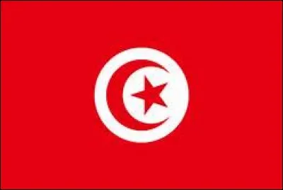 Ce drapeau est celui de/du :