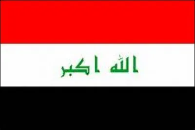 Ce drapeau est celui de/du :