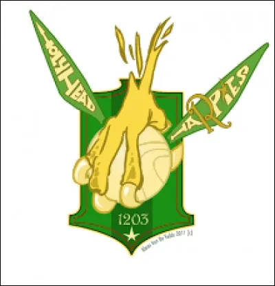 De quelle ligue fait-elle partie ?