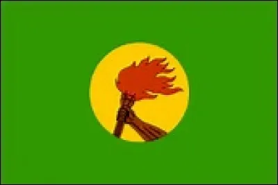 Ce drapeau est celui ...