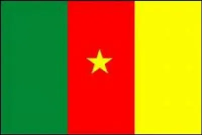 Ce drapeau est celui ...