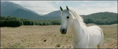 Quel est cet animal ?