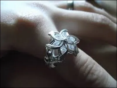 Comment se nomme la bague de Galadriel ?