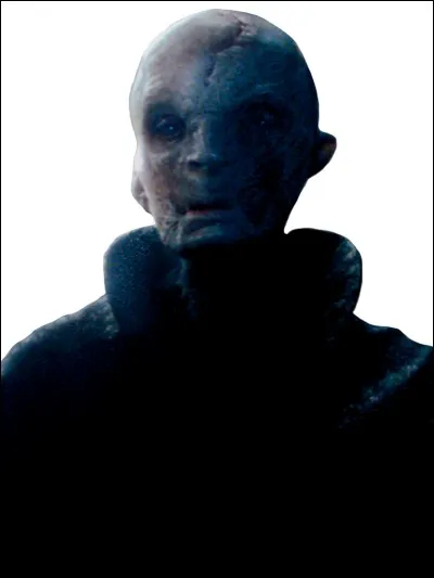 Des indices nous amènent à croire que Plagueis et Snoke sont la même personne.
Éliminez l'indice incorrect.