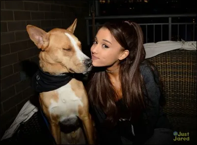 Comment s'appellent les 8 chiens d'Ariana Grande ?