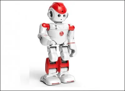 Qu'est-ce qu'un cyborg ?