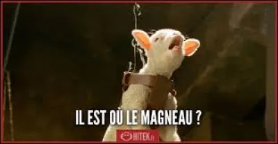 Au final, il est où le Magneau ?