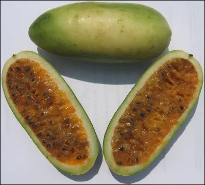 Quel est le nom de ce fruit ?