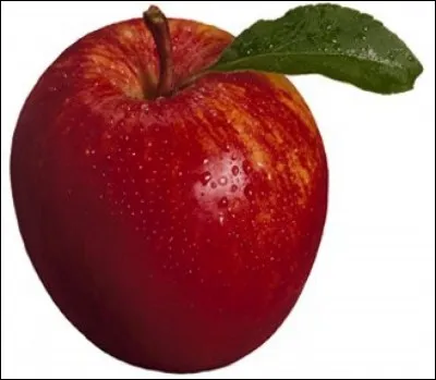 Quel est le nom de ce fruit ?