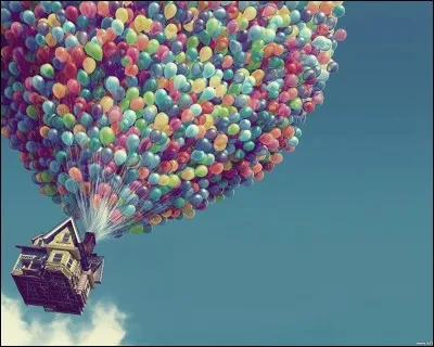 Un film dans lequel apparaît un oiseau rare.