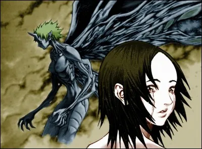 Le 9e, c'est un manga de dark fantasy écrit et illustré par Norihiro Yagi. Pré-publié au Japon par Shūeisha dans le magazine « Monthly Shōnen Jump » de mai 2001 à juin 2007. Quel est ce manga ?