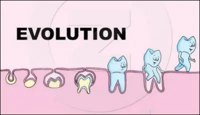 Prendre entre les dents.