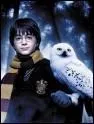 Comment se prnomme la chouette de notre ami Harry Potter ?