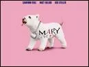 Quel est le nom de ce pauvre petit chien survitamin que l'on retrouve dans le film ' Mary,  tout prix' ?