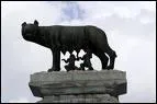 Quel est cet animal nourrissant Romus et Romulus, Fondateurs de Rome ?