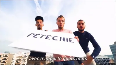 Qui a choisi les mots du clip "Freestyle du dico" ?