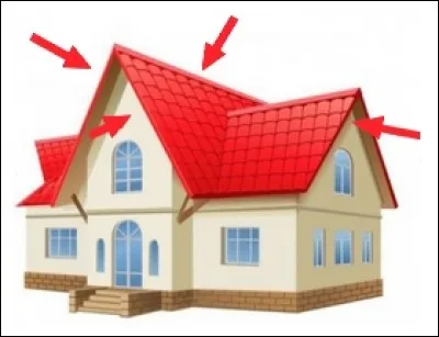 Que montrent ces flèches ?