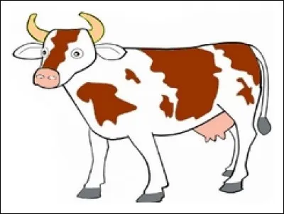 Quel est cet animal ?