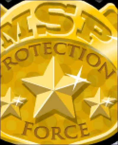 Pour finir, sur MSP tu peux : (plusieurs réponses attendues)