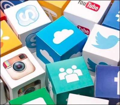 MSP possède-t-il des réseaux sociaux ? (Si oui, combien ?)