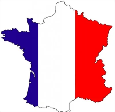 En quel année MovieStarplanet a-t-il décidé d'ouvrir un serveur en France ?