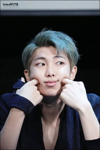 Quelle est la date de naissance de Rap Monster ?
