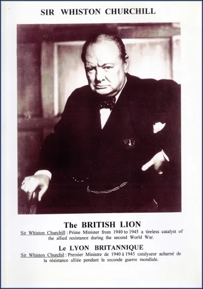 Quelle définition Winston Churchill utilise-t-il pour désigner un comité ?