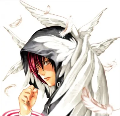 Dans "Platinum End" combien y a-t-il d'anges suprêmes ? 