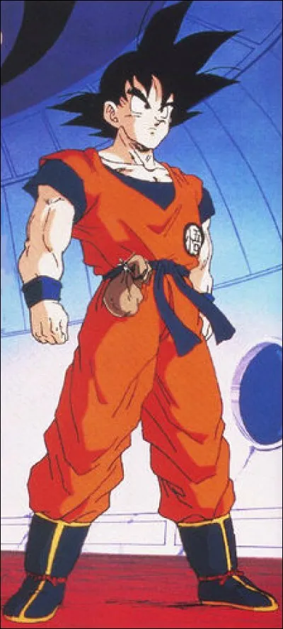Dans "Dragon Ball Z" qui a entraîné Gohan ? 