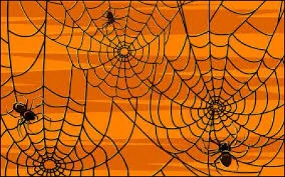 Elles sont velues et ont huit pattes. On ne les aime guère :