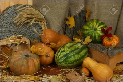 Quel fruit est le symbole de cette fête ?