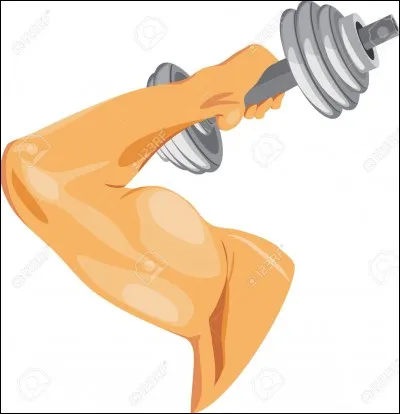 Quelle est la bonne réponse ?