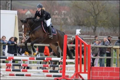 Quelle est cette activité équestre ?