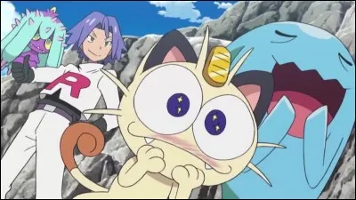 Quel est ce Pokémon ?