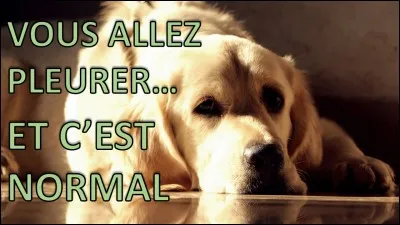 Quel est le nom de l'homme mort que Buck découvre ?